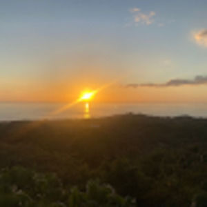 Meet your Posher, Sarit